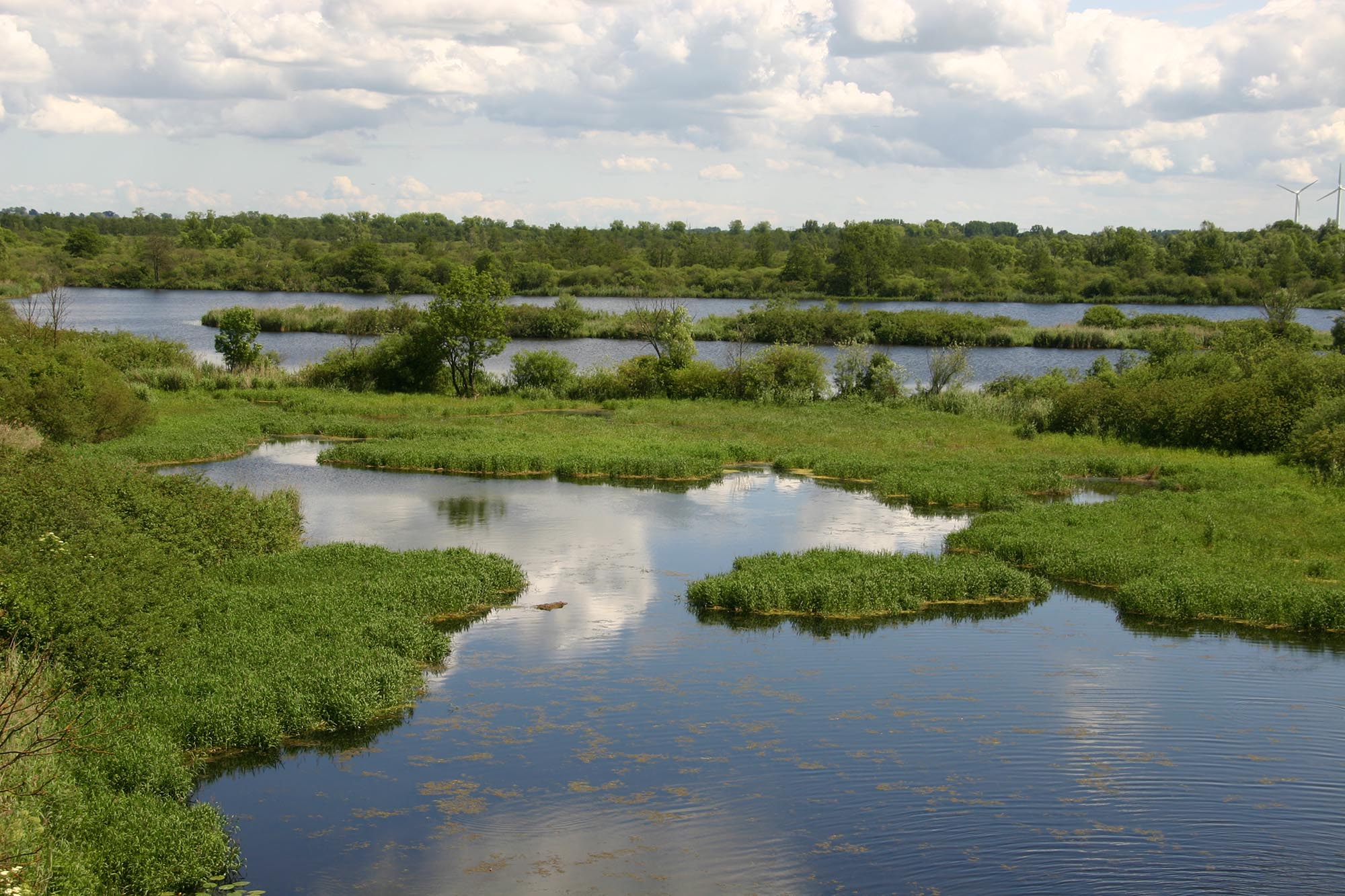 Naturpark Flusslandschaft Peenetal