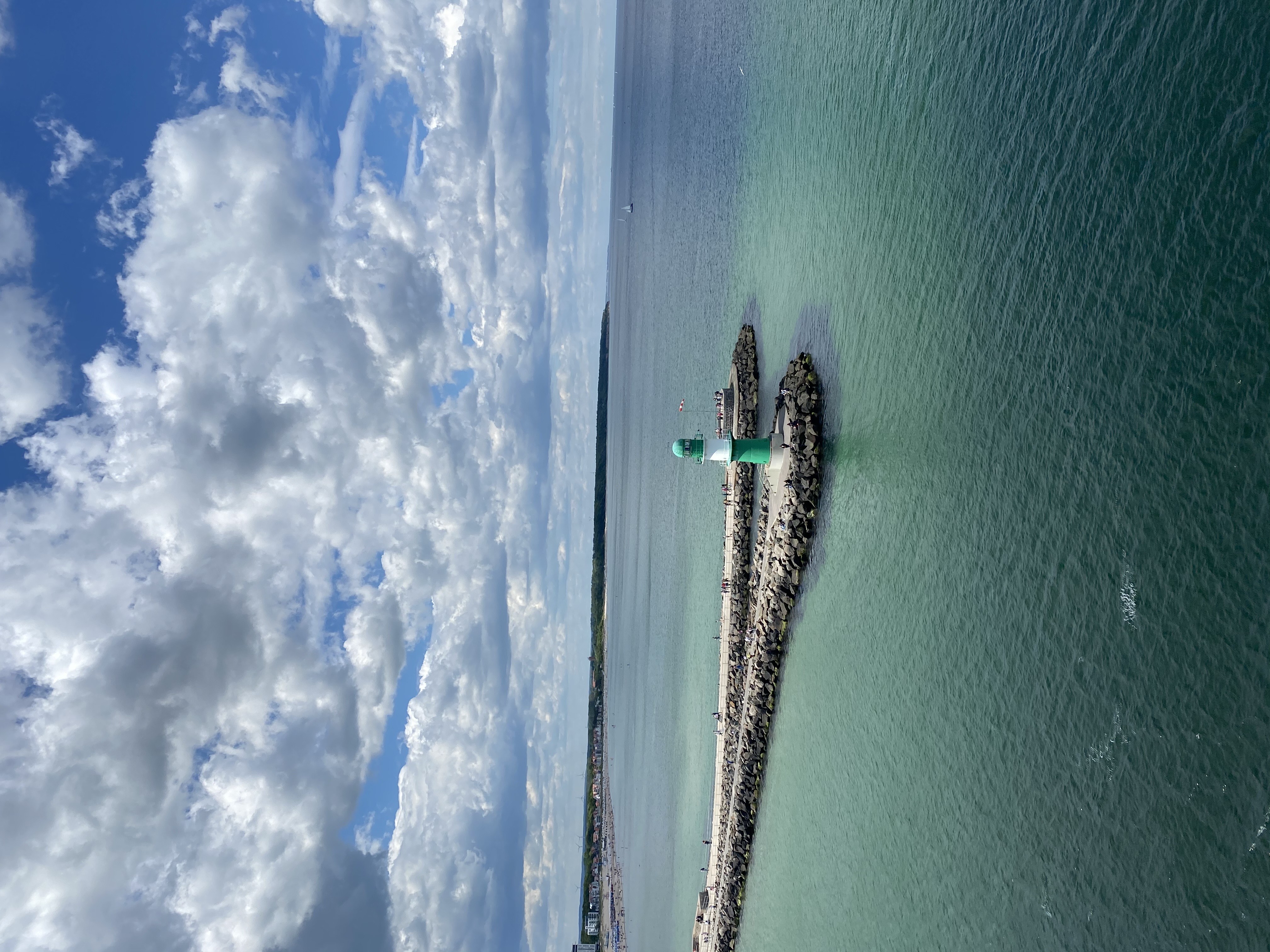 Friedlicher Waldweg mit Bäumen, die ein natürliches Blätterdach bilden